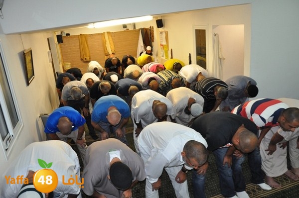 trawe7 fate7 mosque 715 (11).JPG